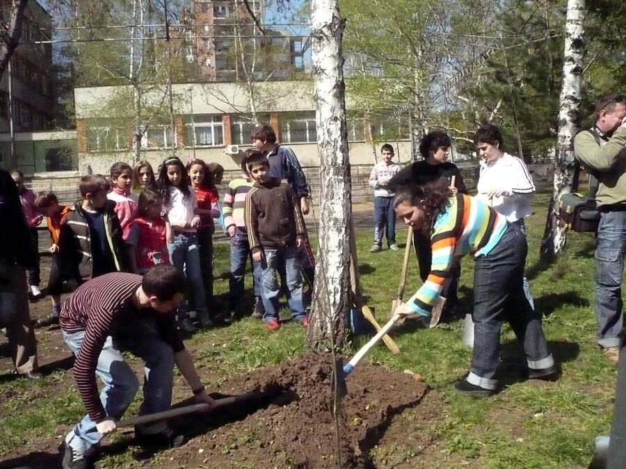 Засадихме 250 фиданки през седмицата на гората в Ксилифор