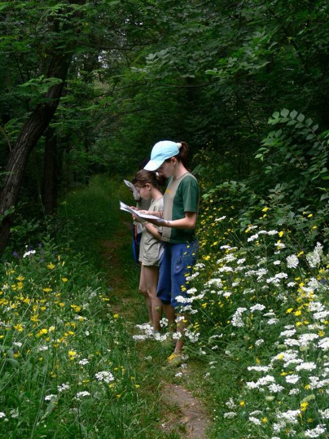 Държавно първенство по ориентиране 2008 г. (12 - 18 г.) и Четвърти кръг от Българска паркова купа
