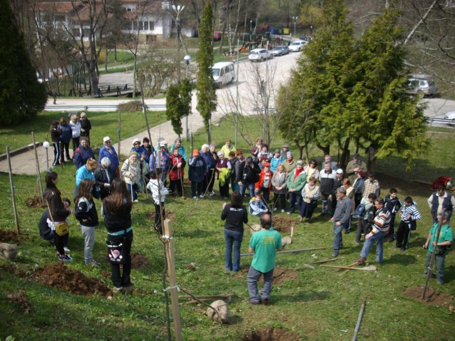 Един ден сред природата – залесяване и почистване на Ксилифор
