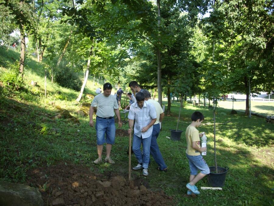„Зелена мисия“ на Адвентната църква – залесяване и почистване на Ксилифор