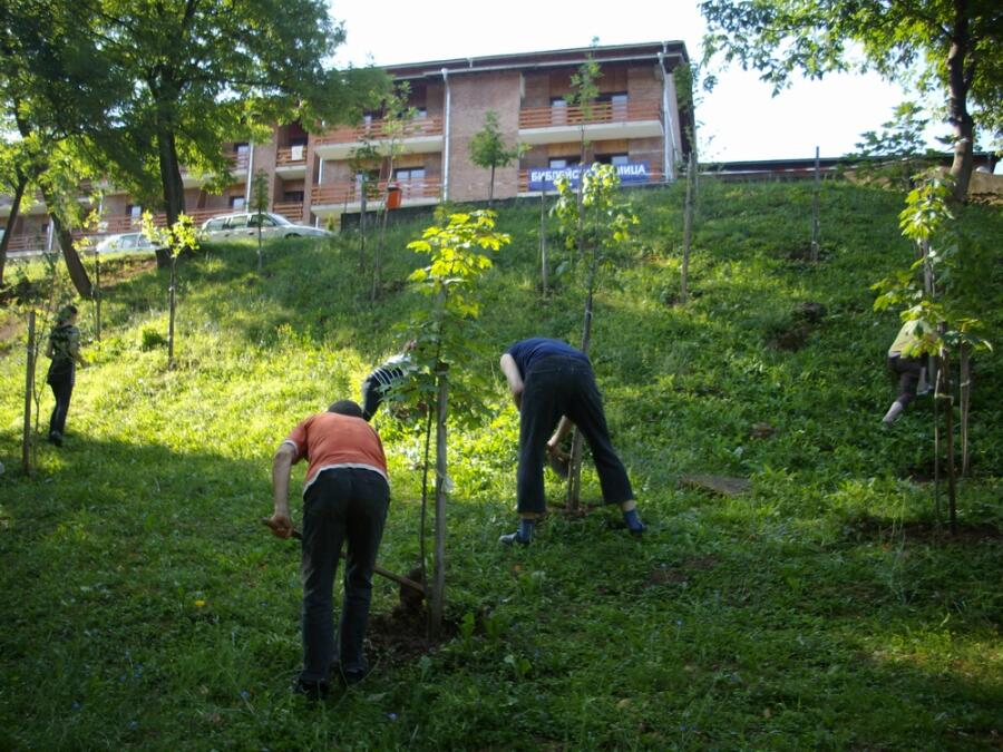 „Зелена мисия“ на Адвентната църква – залесяване и почистване на Ксилифор