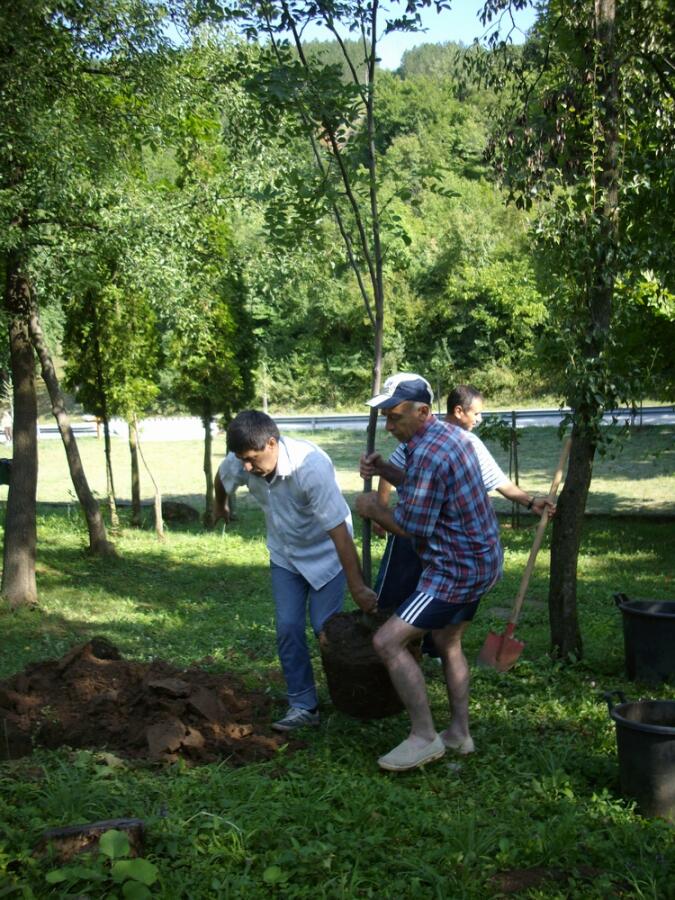 „Зелена мисия“ на Адвентната църква – залесяване и почистване на Ксилифор