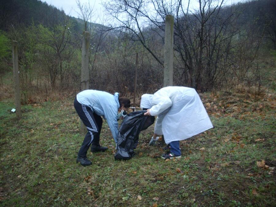 Залесяване на Ксилифор