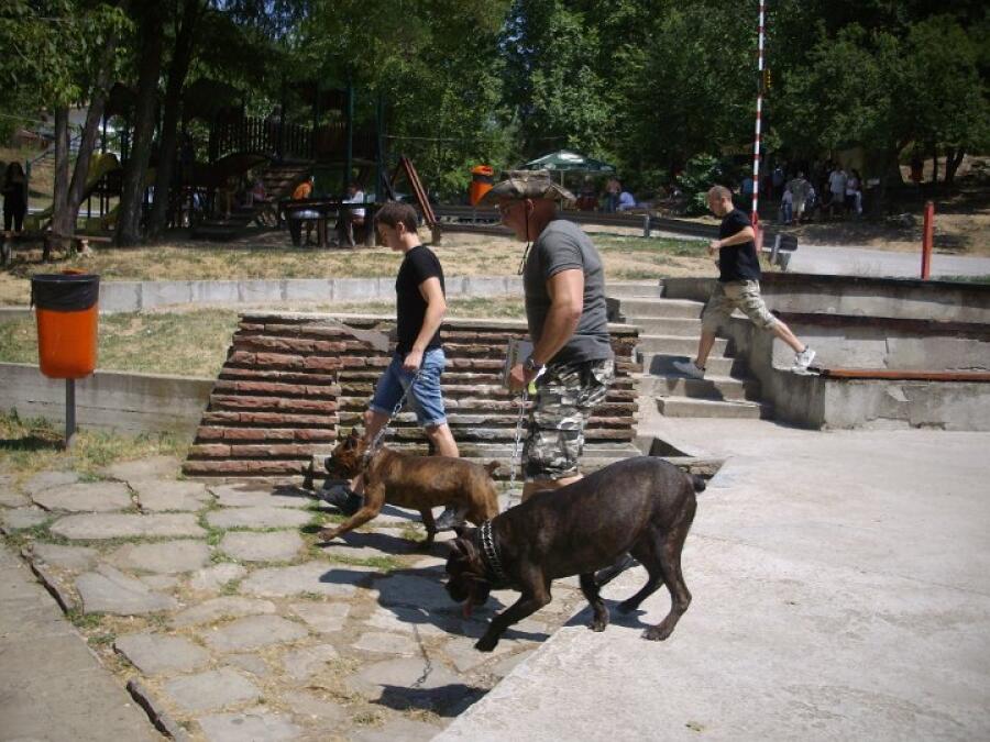 Ловдижийски събор на Ксилифор