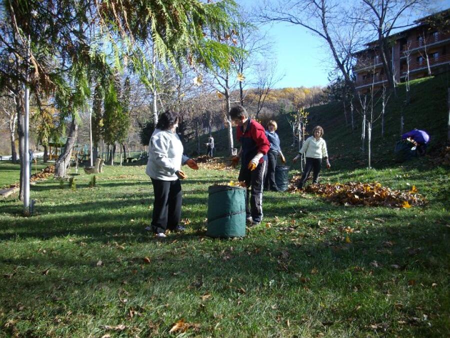 Есенно почистване на Ксилифор