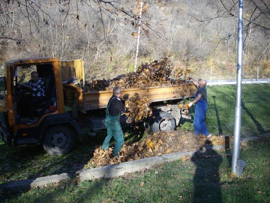 Есенно почистване на Ксилифор