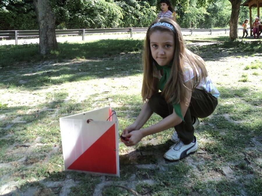 Сървайвър Ксилифор 2013