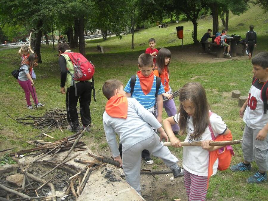 Сървайвър Ксилифор 2013