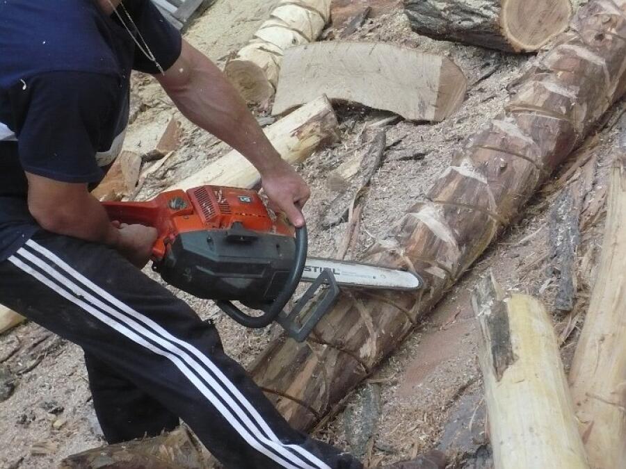 Баба Яга кани всички на нова къща в Ксилифор
