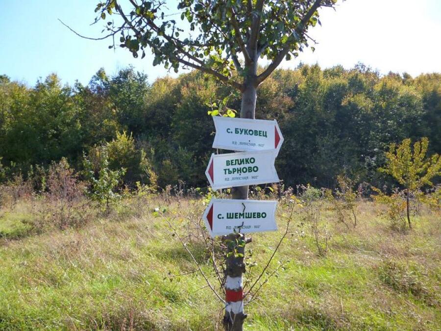 Есенна кампания „Движи се и победи” – втори етап