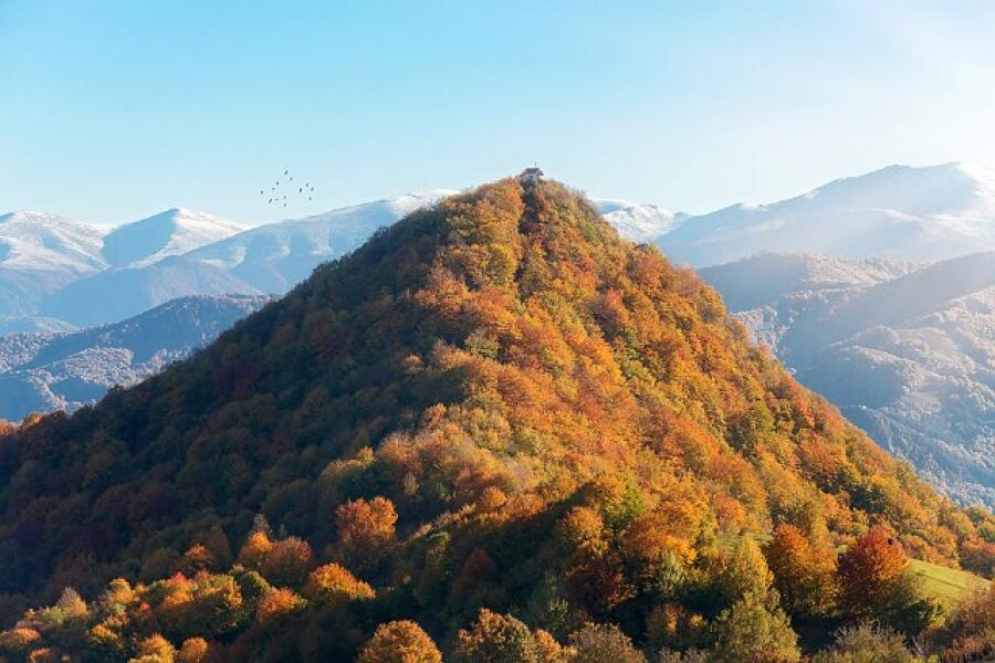 Скулптори и фотографи дариха произведения за благотворителния търг