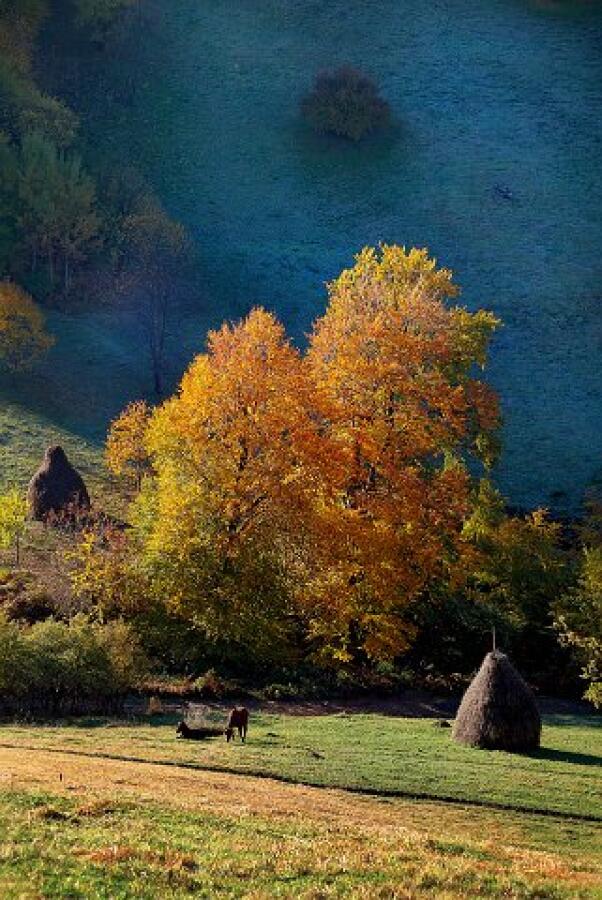 Скулптори и фотографи дариха произведения за благотворителния търг