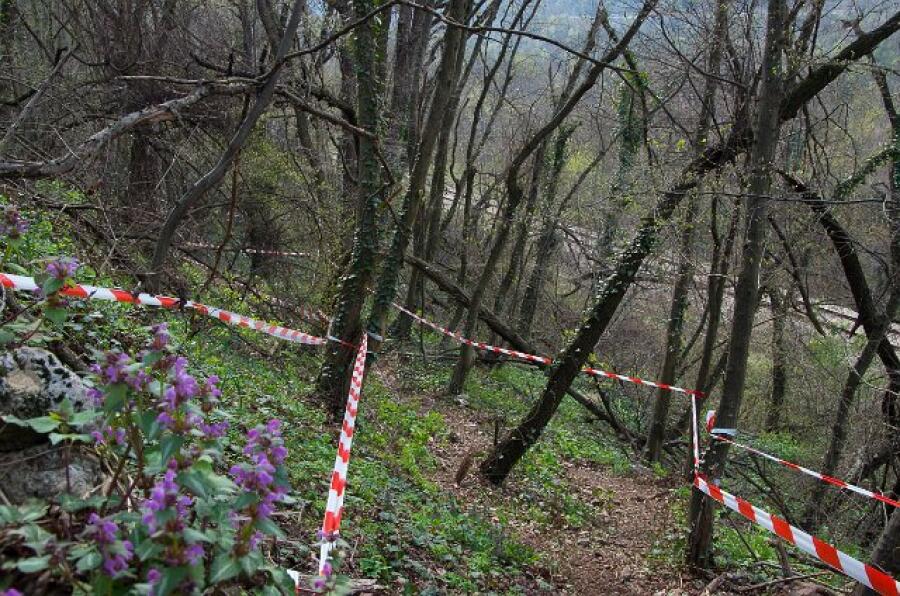 С карта из Търновград