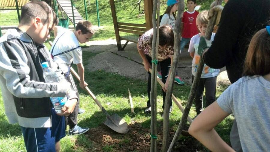Зелена мисия – пролет