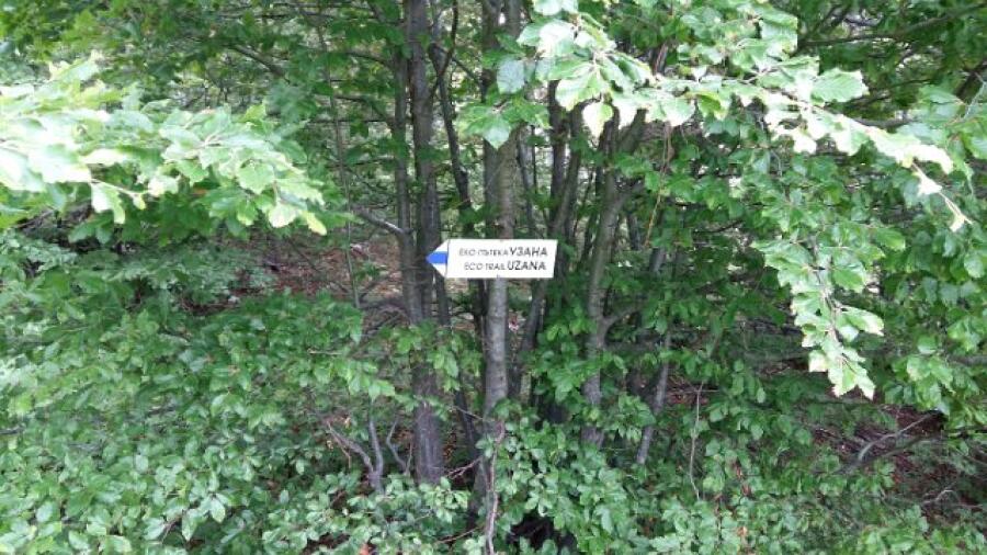 Летен туристически лагер на училищния клуб „ТУР 2000” при ТД „Трапезица 1902”
