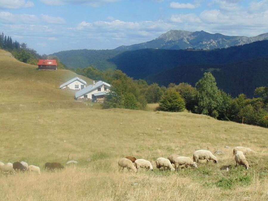 Отбелязахме ден на туризма с изкачване на връх Ботев