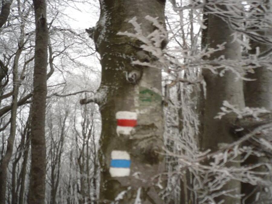 Есенно Слънце в раницата 2016