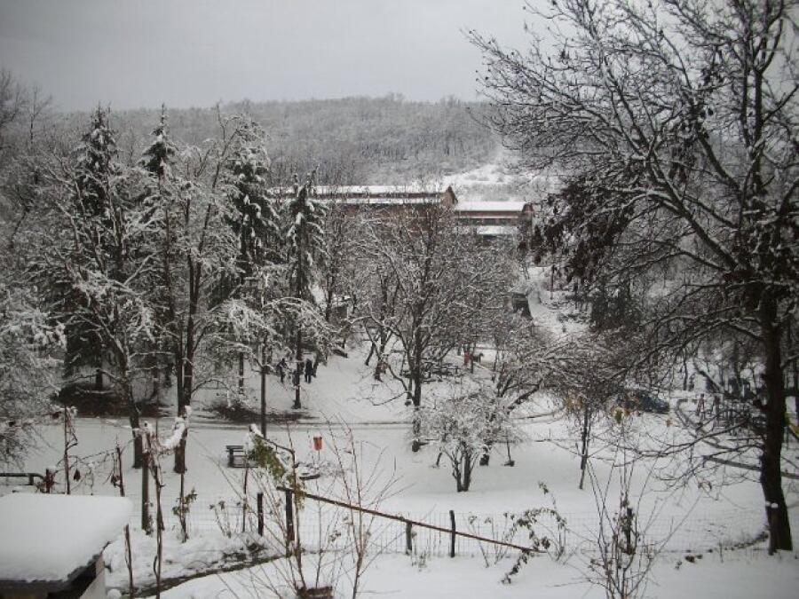 Ксилифор през зимата