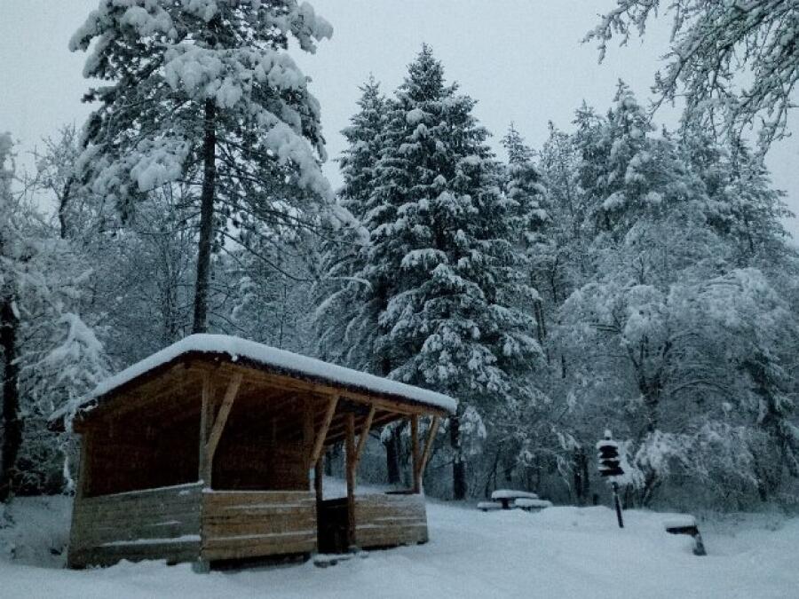 Ксилифор през зимата