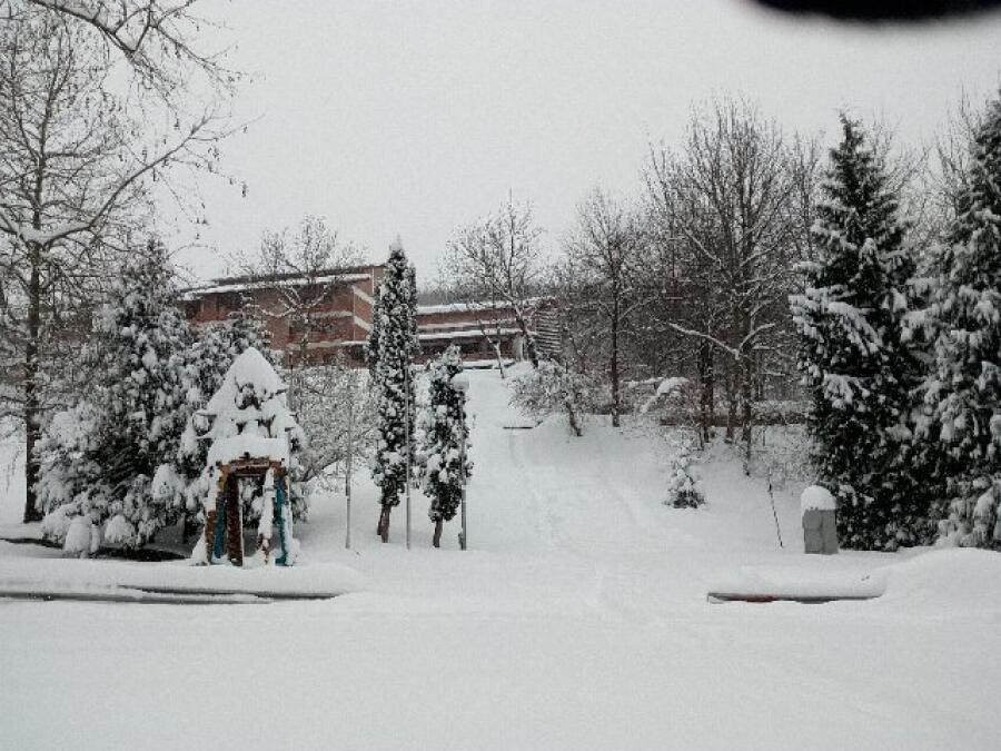 Ксилифор през зимата