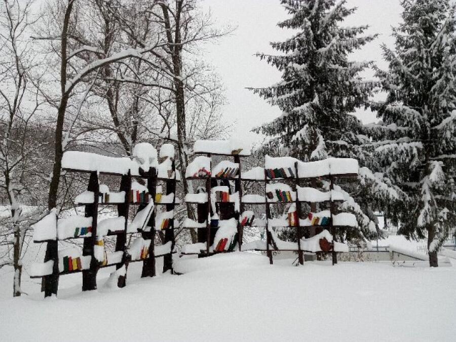 Ксилифор през зимата