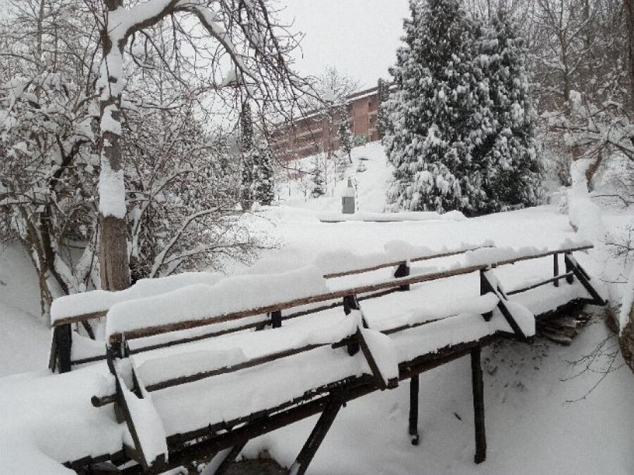 Ксилифор през зимата
