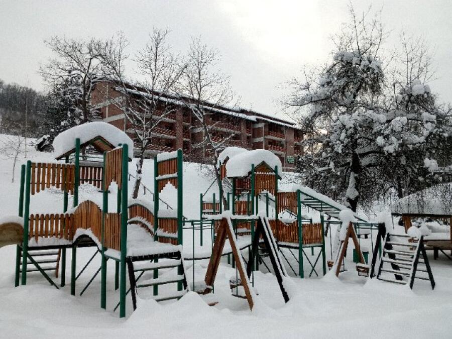 Ксилифор през зимата