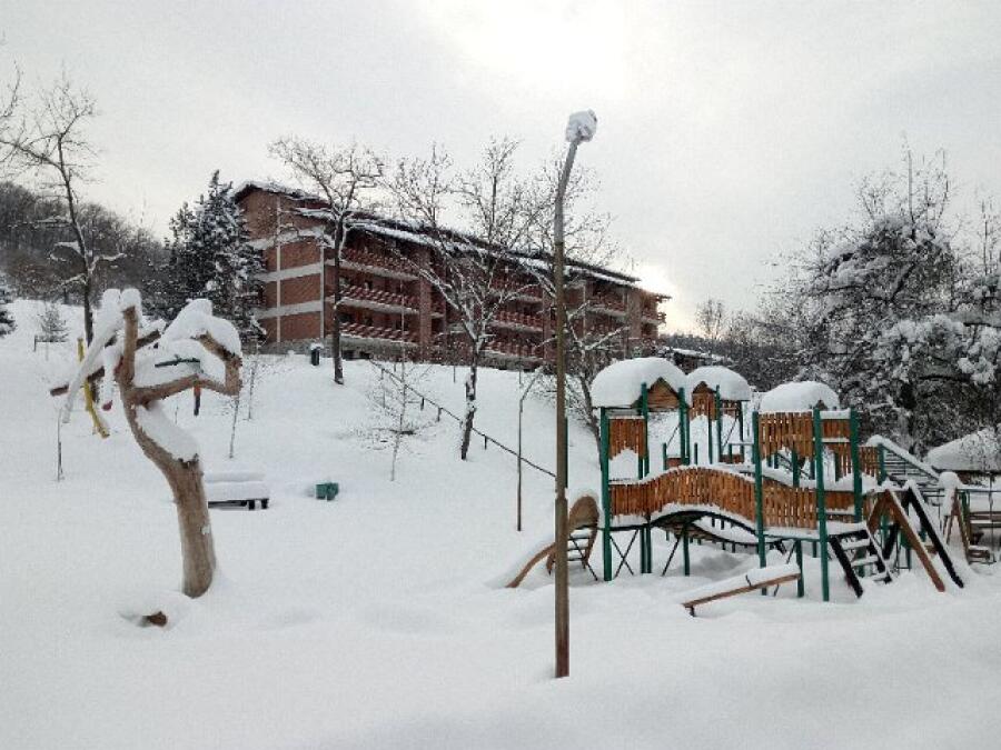 Ксилифор през зимата
