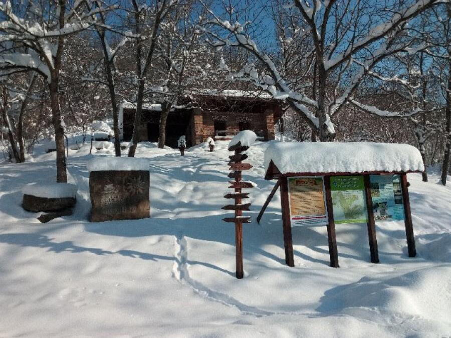 Ксилифор през зимата