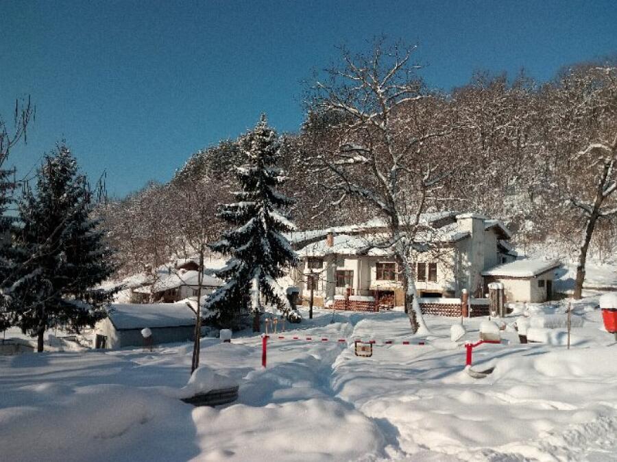 Ксилифор през зимата