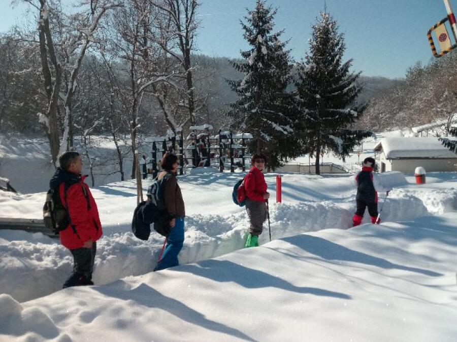 Ксилифор през зимата