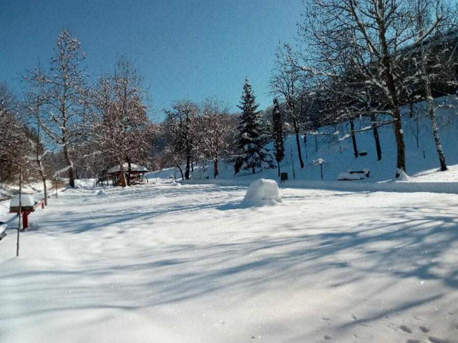 Ксилифор през зимата