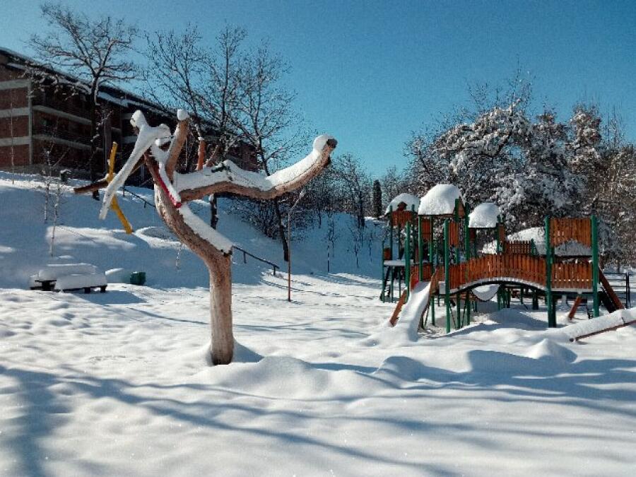 Ксилифор през зимата