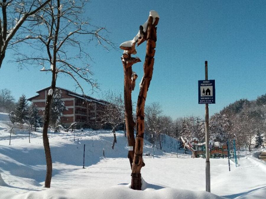 Ксилифор през зимата