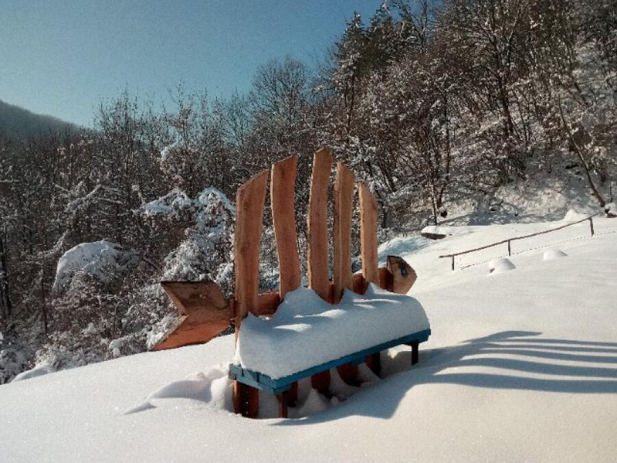 Ксилифор през зимата