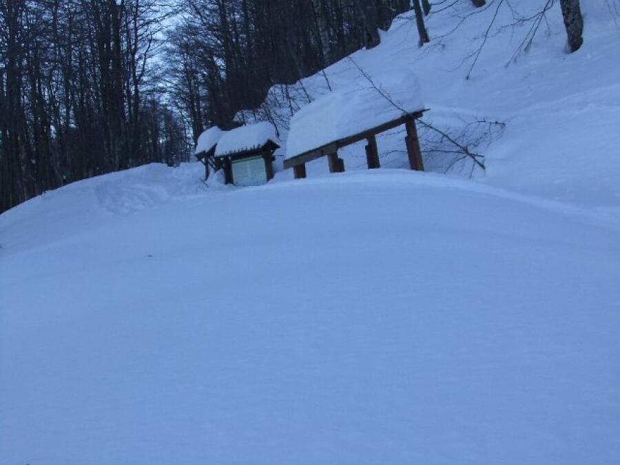 Ски и пешеходен  поход в Стара планина посветен на Националния празник на България – Трети март
