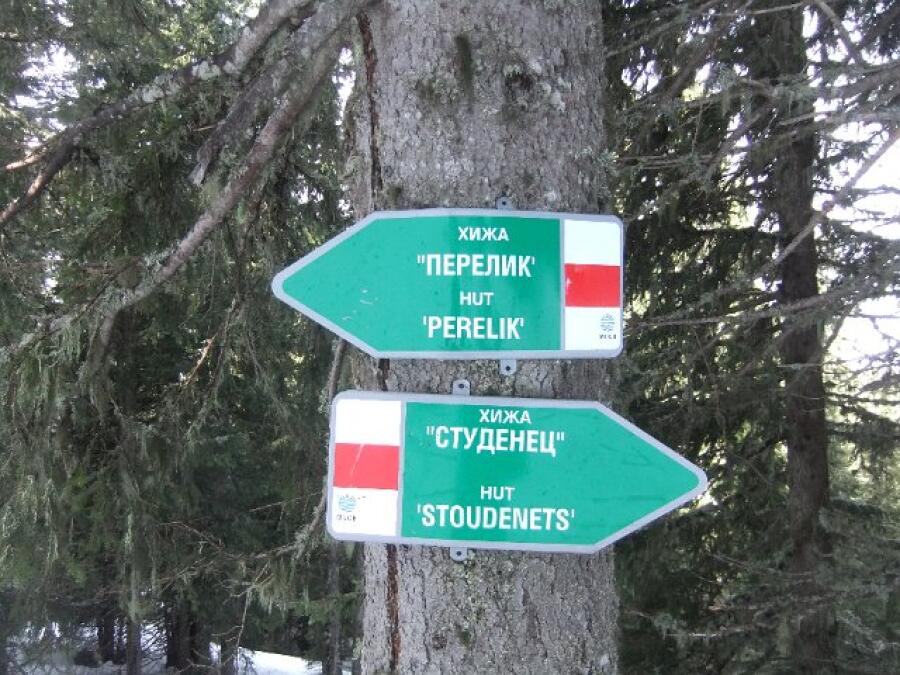 Държавното първенство по ски рали в Пампорово