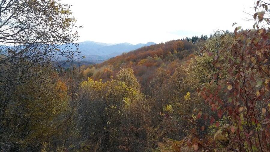 Есенно "Слънце в раницата"