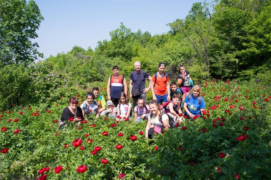 Пролетна кампания "Движи се и победи" – първи етап