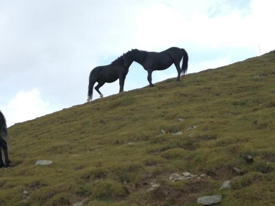 С походи отбелязахме годишнината от началото на организирания туризъм