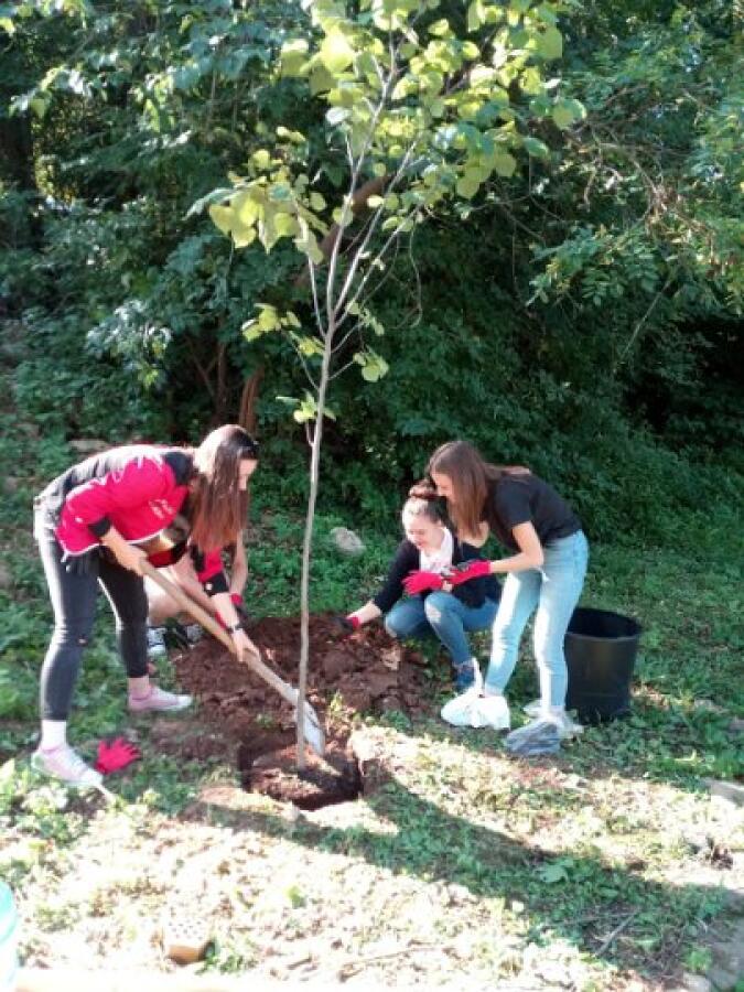 Ученици засаждаха дръвчета в парк Ксилифор по национален проект „Бъдещето на планетата“