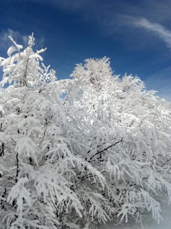 Поход от хижа Партизанска до хижа Мазалат
