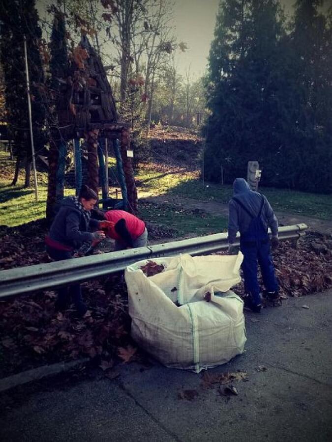Есенно почистване на Ксилифор