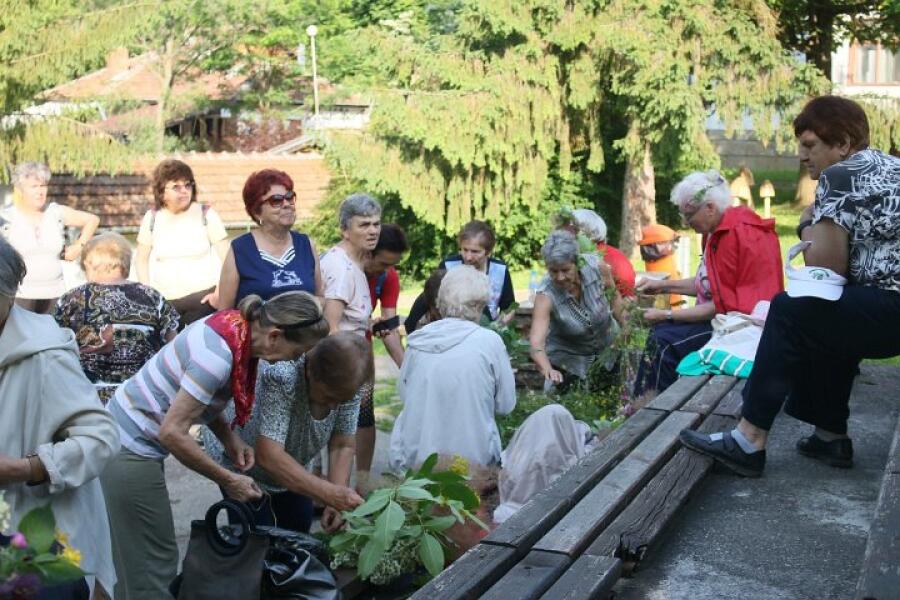 Еньовден на Ксилифор