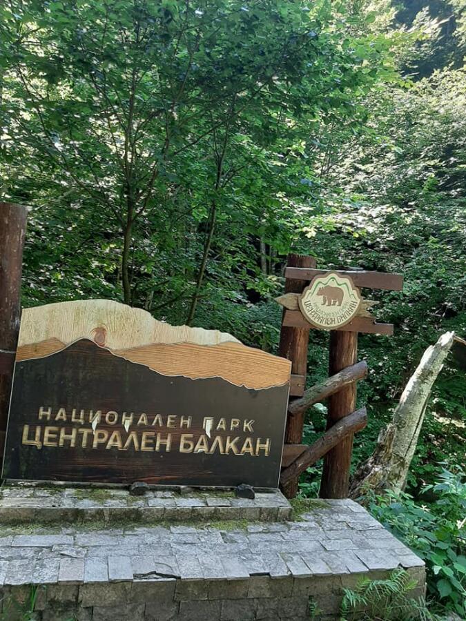 Туристи ветерани на разходка до Видимското пръскало