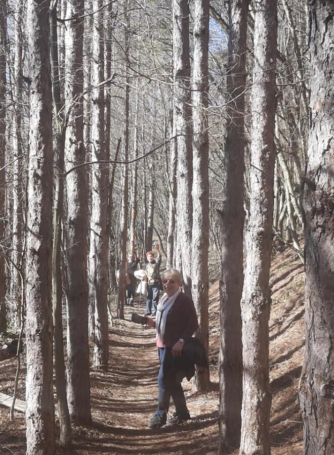 В памет на Апостола