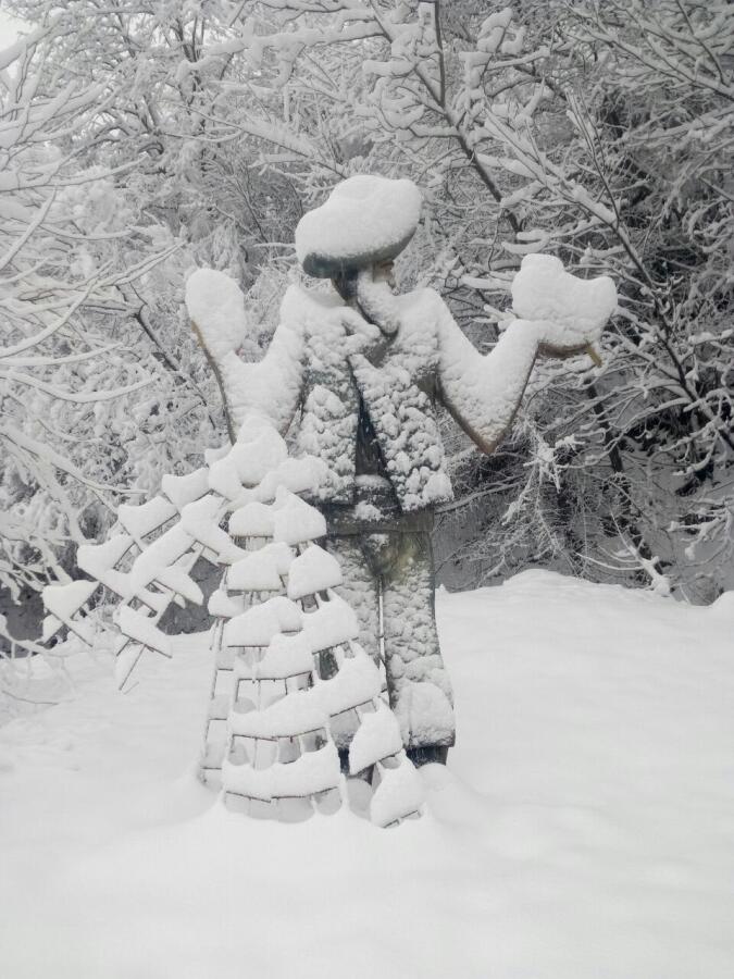 Зимен Ксилифор