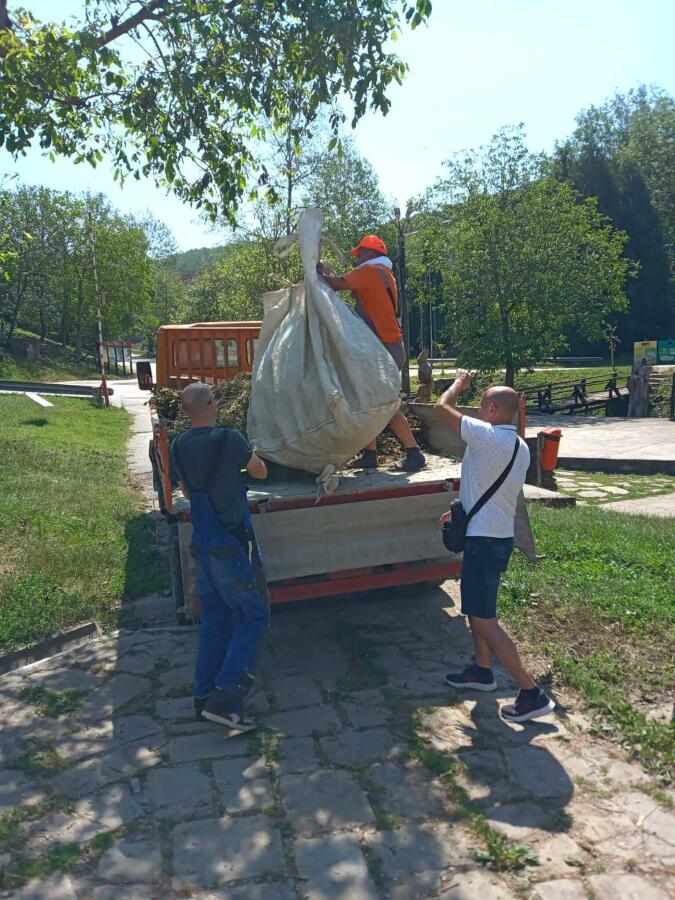 Ксилифор след градушката от 12.06.2024 г.