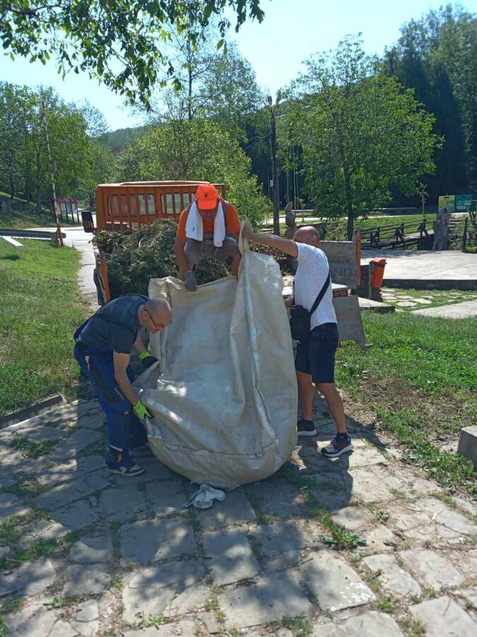 Ксилифор след градушката от 12.06.2024 г.