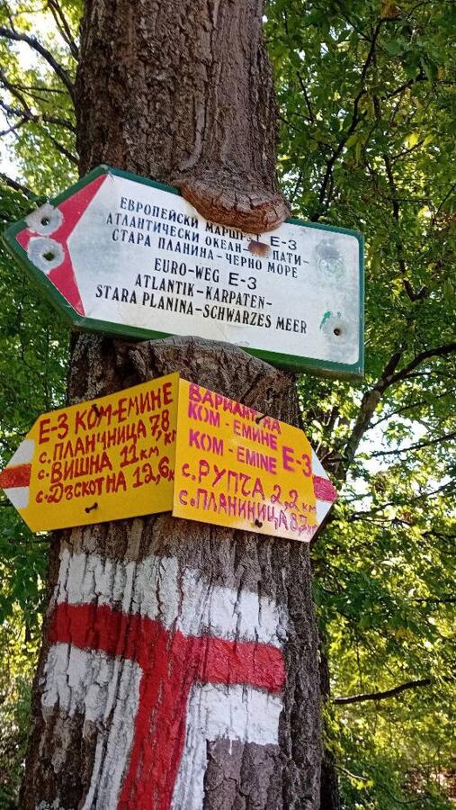 Ден шестнадесети от приключението Ком - Емине
